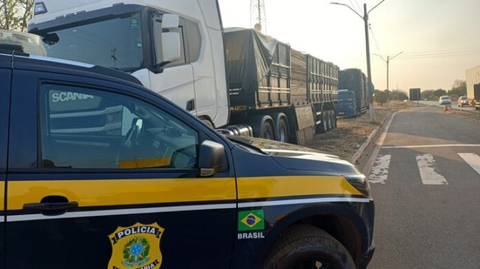PRF apreende 58 m³ de madeira nativa transportada com documentação inválida em Picos