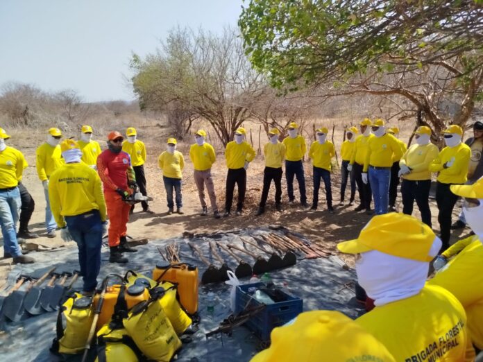 Piauí alcança marca inédita com metade dos municípios contando com brigadas florestais treinadas