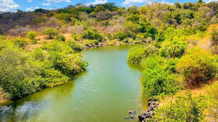 Piauí embarga 115 áreas de desmatamento ilegal do Cerrado e aplica R$ 42 milhões em multas