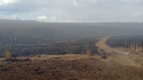 Chuva ajuda a combater queimadas no Sul do PI; autor do incêndio é identificado